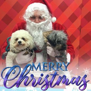 Meet your Posher, Cissy